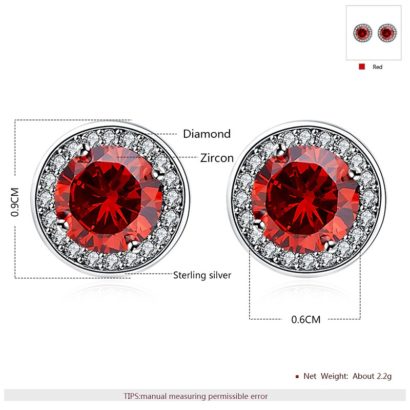 Silver 925 Earring decorated by red crystal bezel