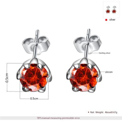 Silver 925 Earring decorated by red crystal bezel