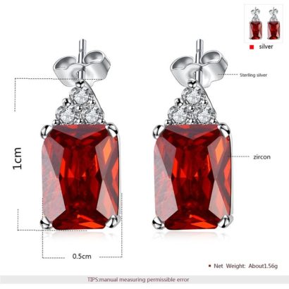 Silver 925 Earring decorated by red crystal bezel