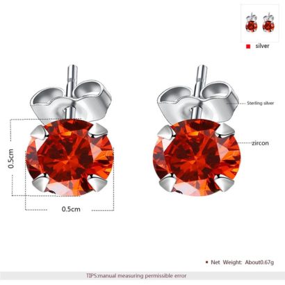 Silver 925 Earring decorated by red crystal bezel