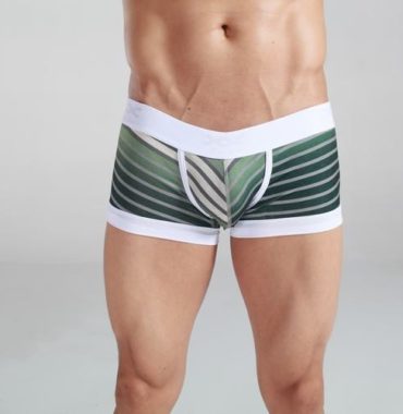 Striped emerald & grey Cotton Trunk Boxer