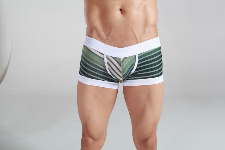 Striped emerald & grey Cotton Trunk Boxer