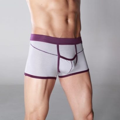 Gray Cotton Brief Boxer decorated with Pastel Violet line