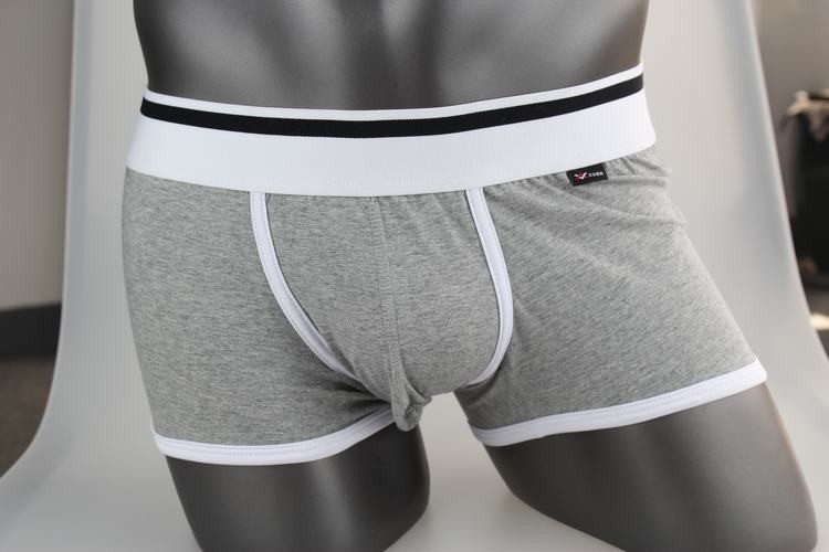 Gray Cotton Trunk Boxer