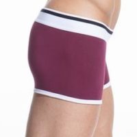 Egg Plant Cotton Trunk Boxer