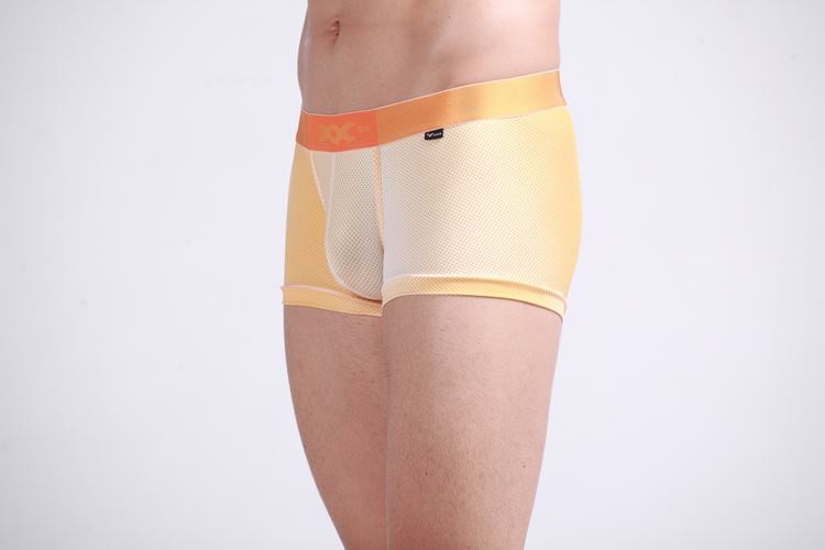 cotton Boxer , youth mixed orange colors with White