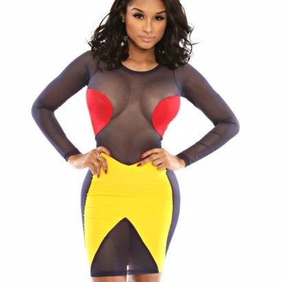 Plus Size Bodycon Dress